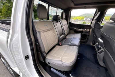 2025 Ford F-150 Platinum